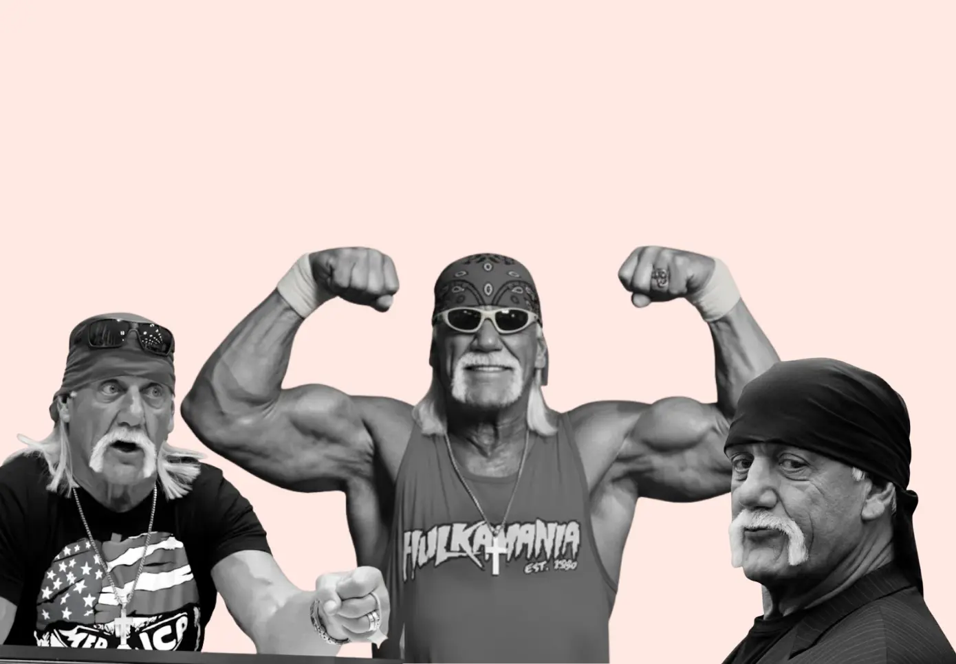 hulk hogan net worth